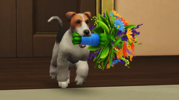 Flower Pets