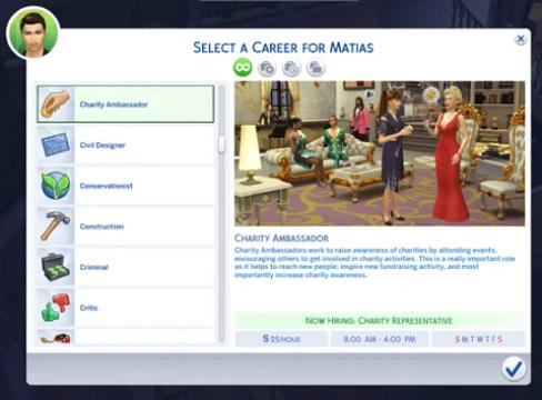 Charity Ambassador Career