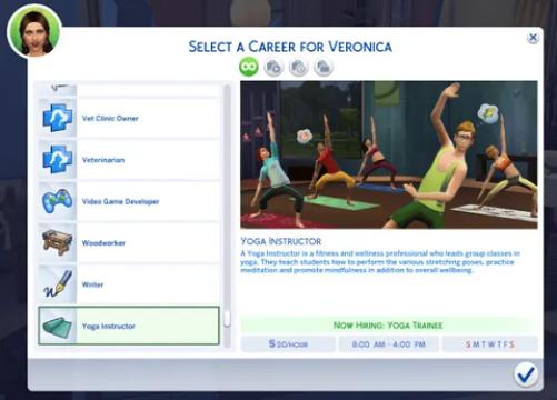 Yoga Instructor Career