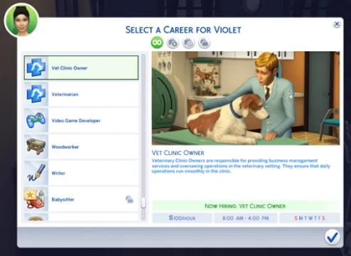 Vet Clinic Owner Career