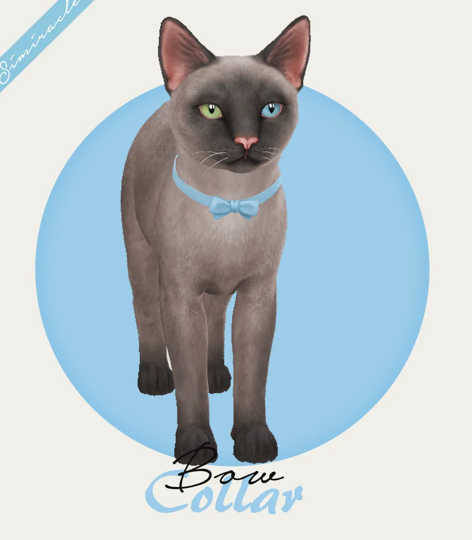 Bow Collar - Cats