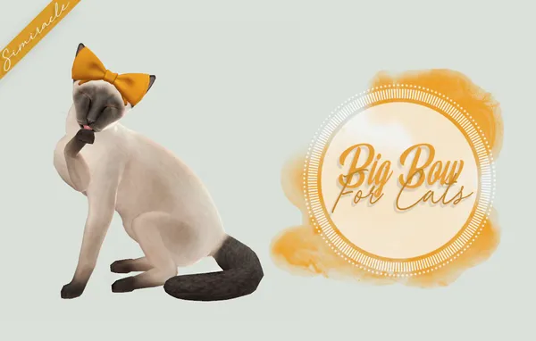Big Bow For Cats