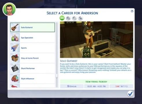 Solo Guitarist Career