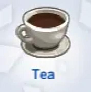 Tea Tradition