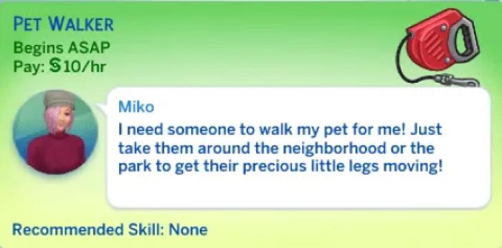 Pet Walker