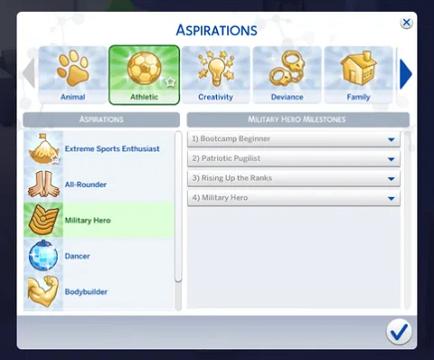 Military Hero Aspiration