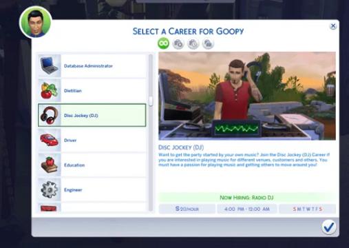 DJ Career