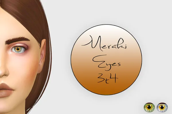 Meraki Eyes 3T4