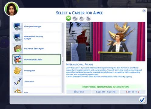 International Affairs Career