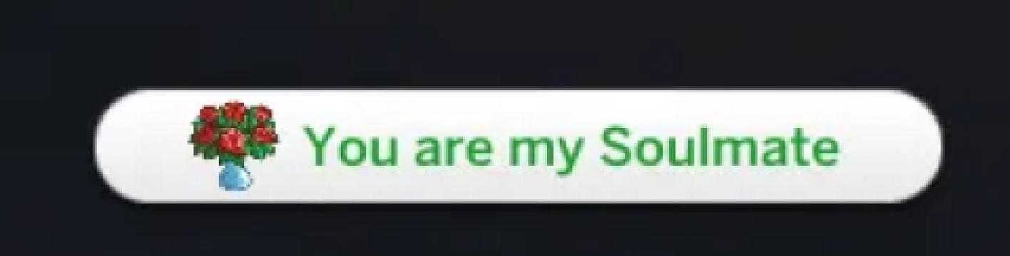 You are my Soulmate