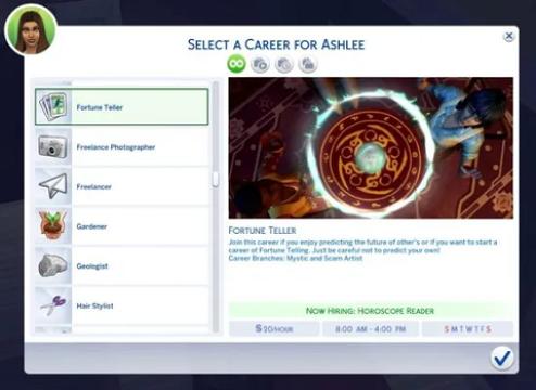 Fortune Teller Career