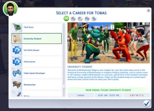 University Student Career
