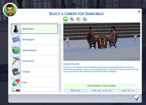 Chess Player Career
