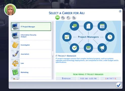 IT Project Manager (No Promotion)