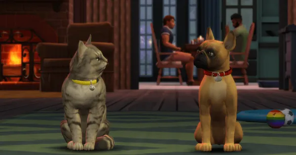 More Pet Care Activities