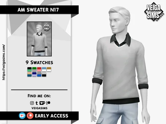 AM SWEATER N17