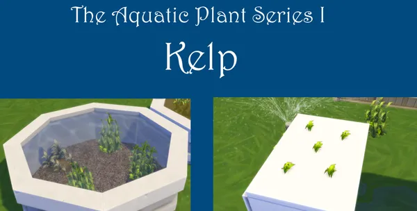 Kelp Harvestable