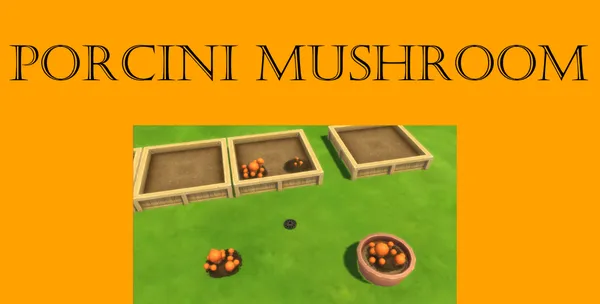 Porcini Mushroom Harvestable