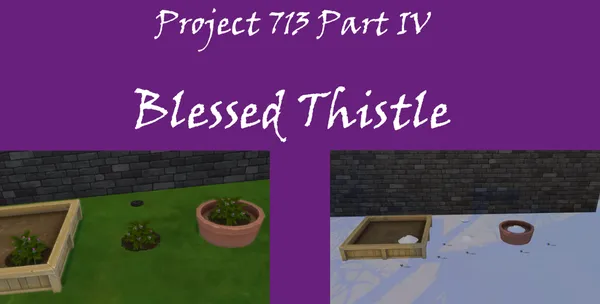 Blessed Thistle Harvestable