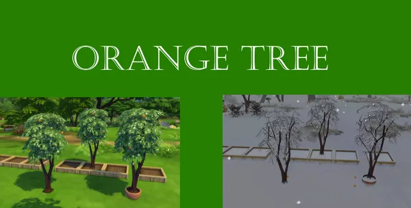 Orange Harvestable