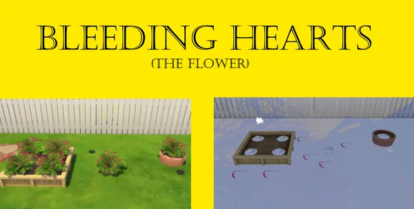 Bleeding Hearts Harvestable