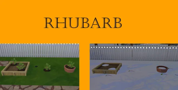 Rhubarb Harvestable