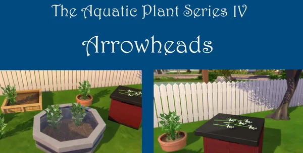 Arrowheads Harvestable