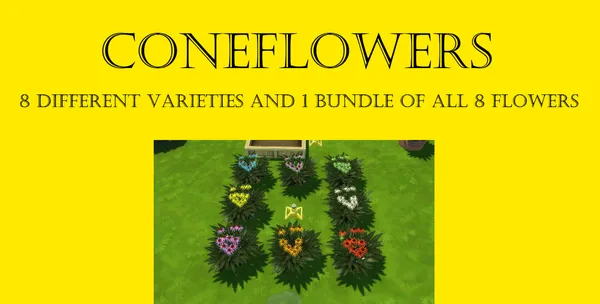 Coneflower Harvestable