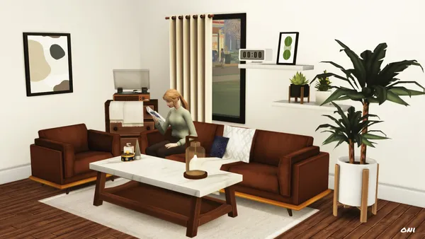 Vintage living room Set