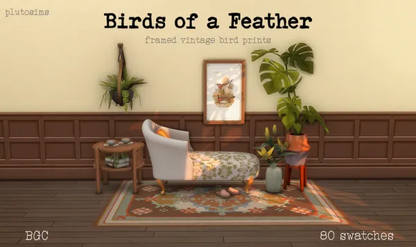 Birds of a Feather