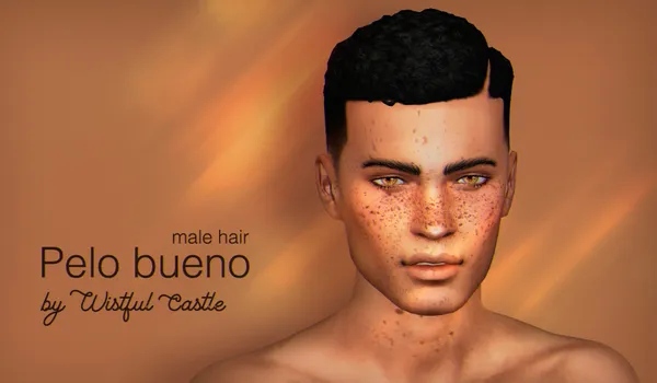 Pelo Bueno (male hair)