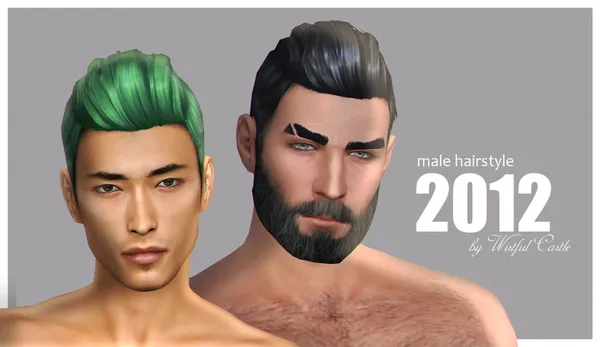 2012 (male hair)