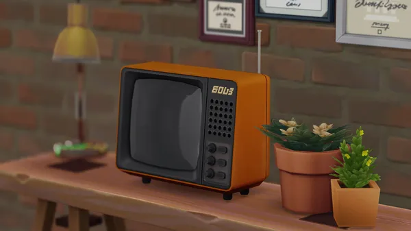Thrifted TV 