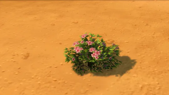 Edible Bush for Dogs