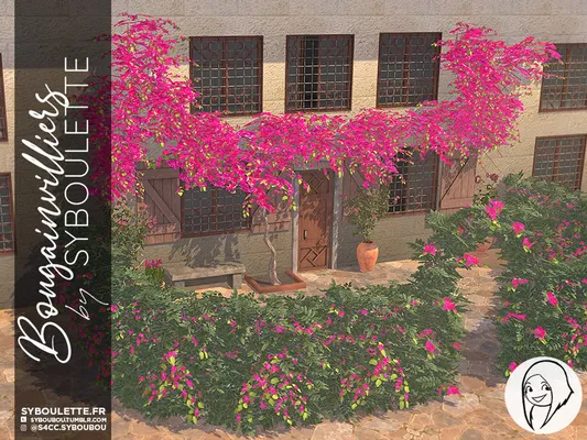 [DOWNLOAD] Bougainvilliers set