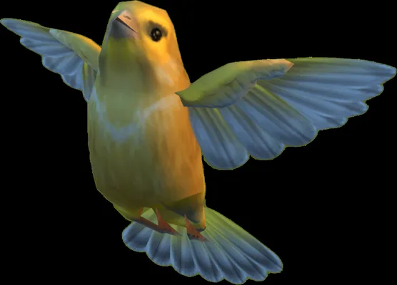 Bird Life