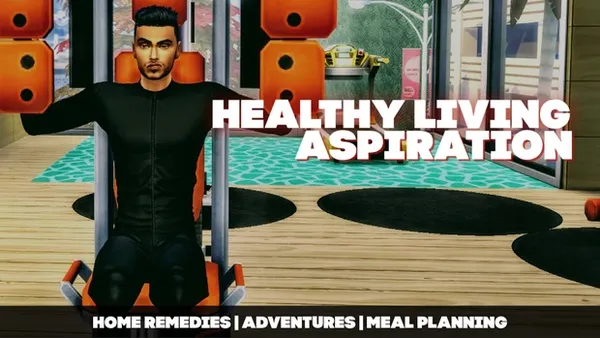 HEALTHY LIVING CUSTOM ASPIRATION - DOWNLOAD