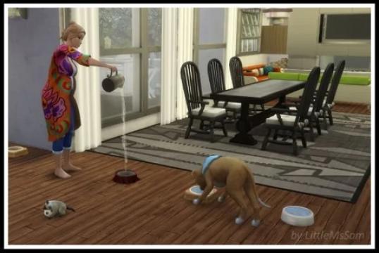 Working Pet Water Bowls