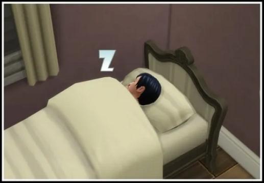 Sleep In