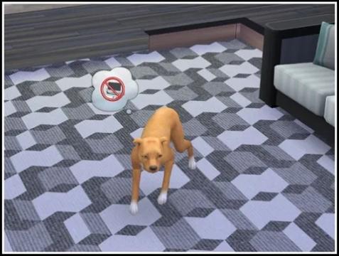 Anti Fear Training
