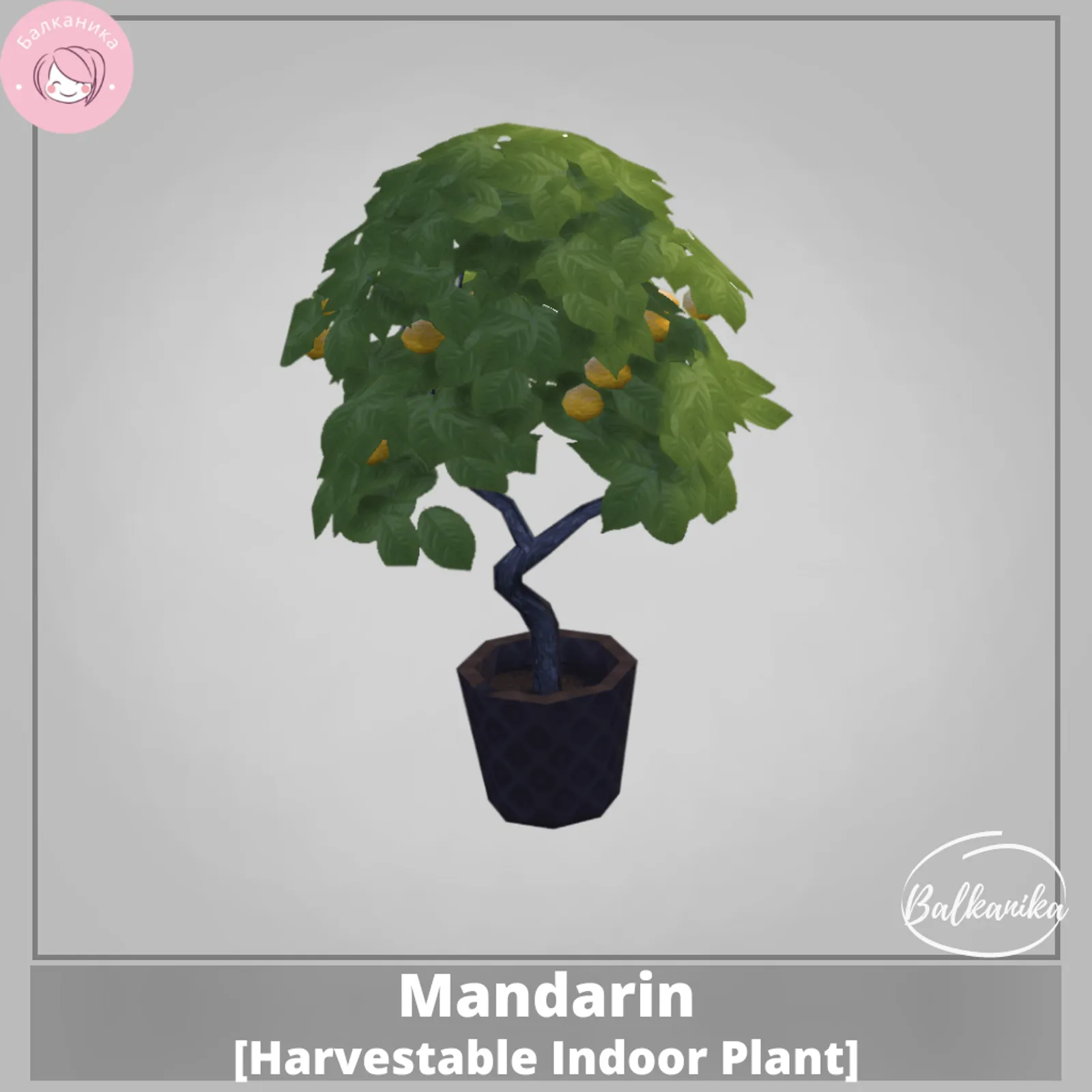 Mandarin