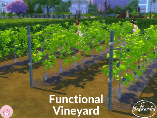 Balkanika's Special Grapes Bundle