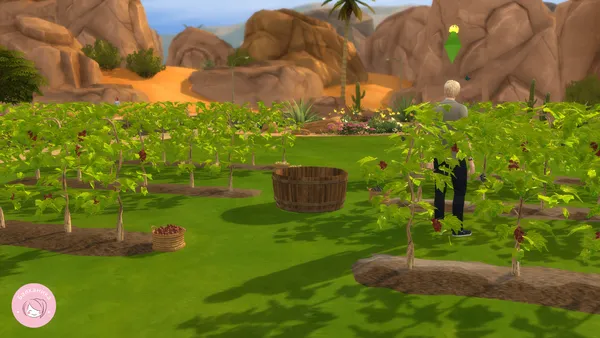 Wine Making [Ancient Roman Theme]