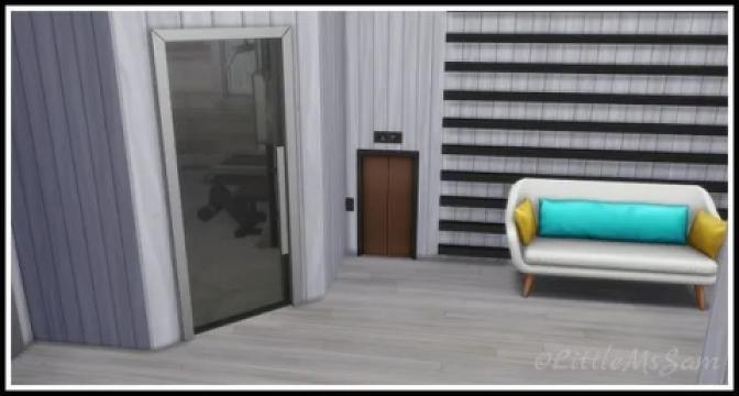 Tiny Elevators For Pets