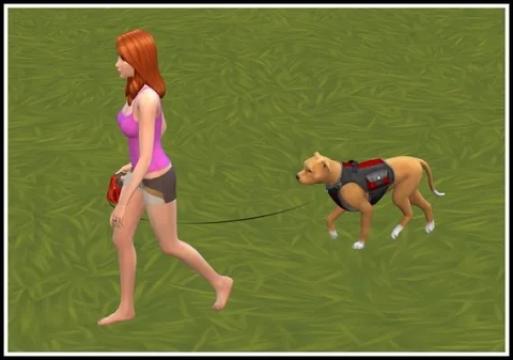 Quick Walk (with the Dog)