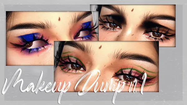 Makeup Dump n1