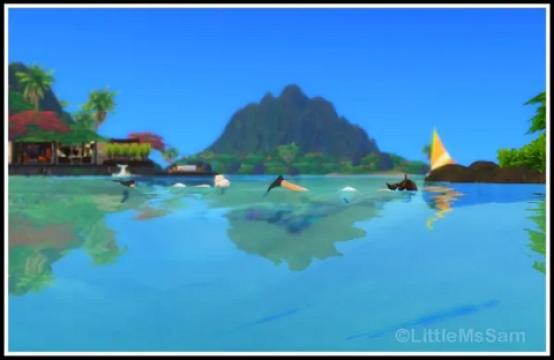 Snorkel Everywhere
