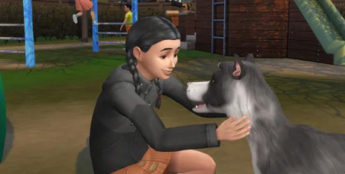 First Pet Aspiration (+ Bonus)