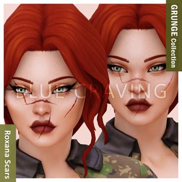 Grunge Collection - Roxana Scars