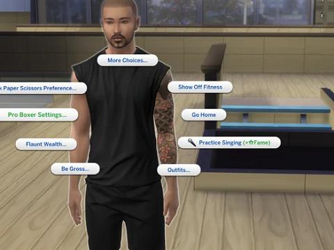 PROFESSIONAL BOXER CAREER V3 - DOWNLOAD